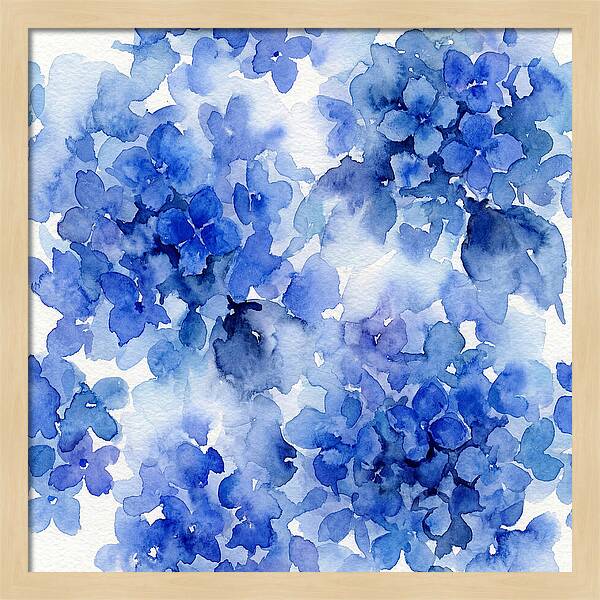 Blue Hydrangea Blooms