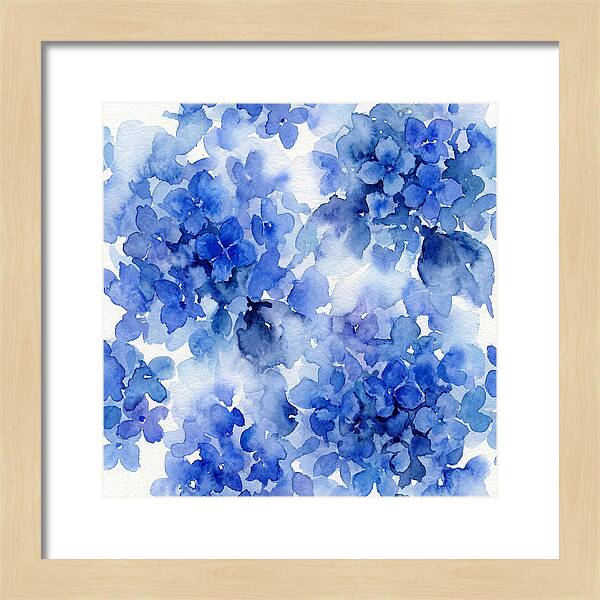 Blue Hydrangea Blooms