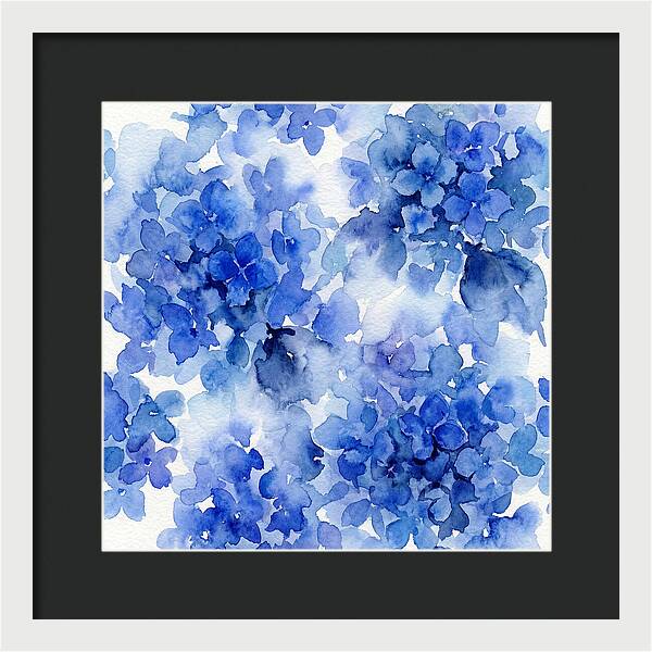 Blue Hydrangea Blooms