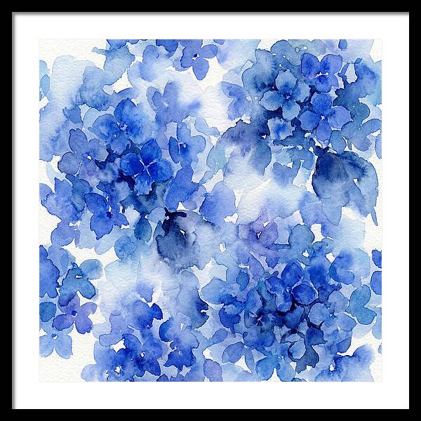 Blue Hydrangea Blooms