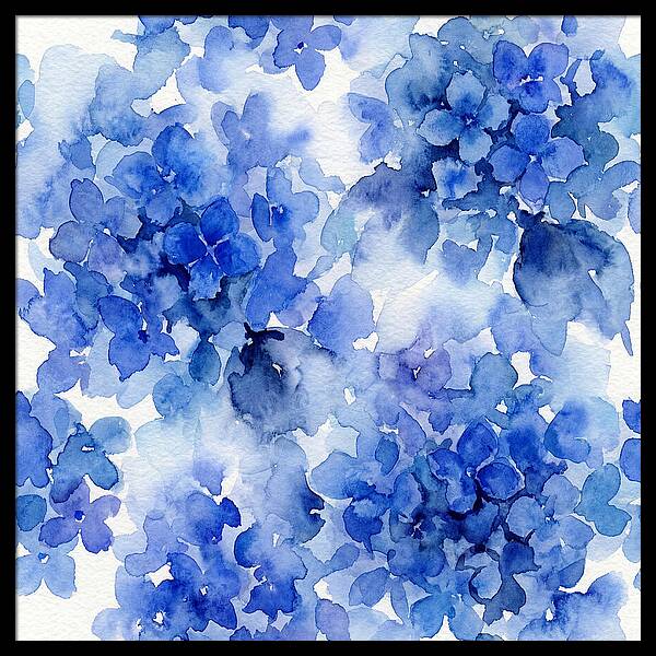 Blue Hydrangea Blooms