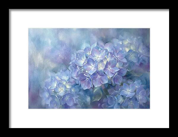 Blue Hydrangeas