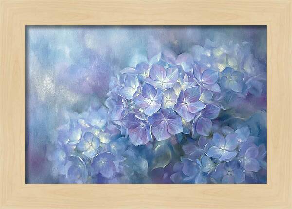 Blue Hydrangeas