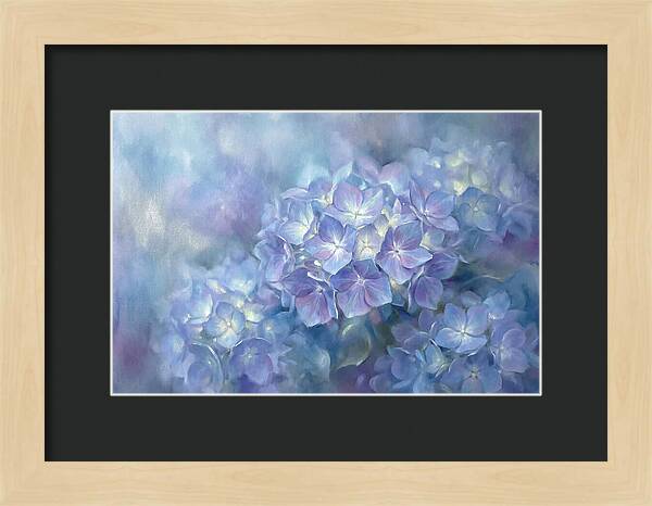 Blue Hydrangeas