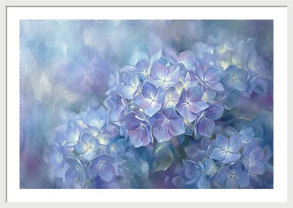 Blue Hydrangeas