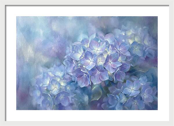 Blue Hydrangeas