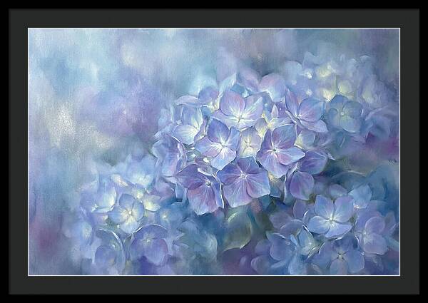 Blue Hydrangeas