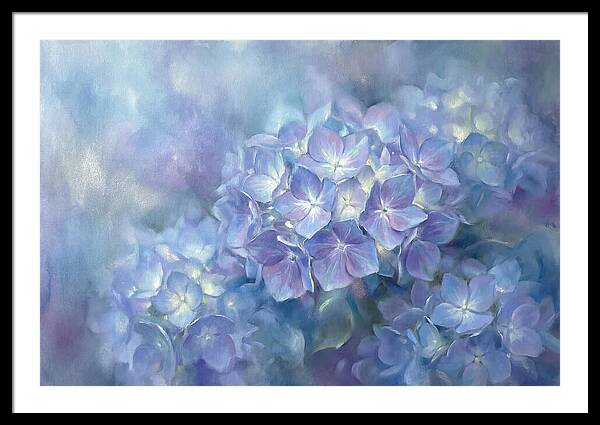 Blue Hydrangeas