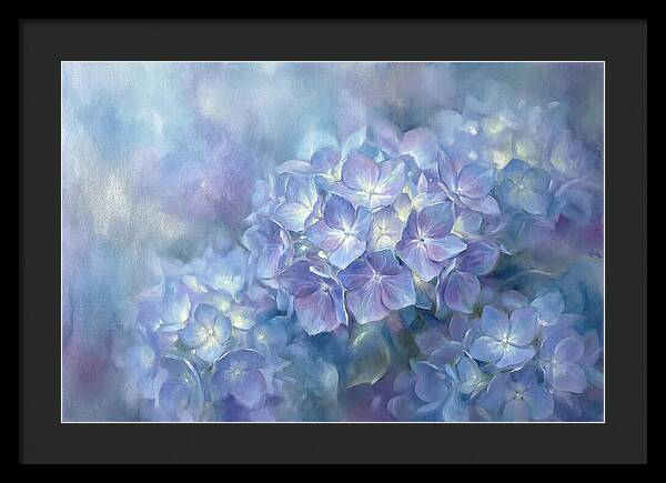 Blue Hydrangeas
