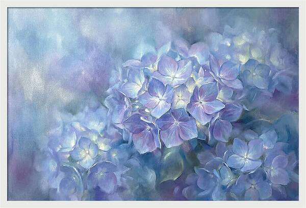 Blue Hydrangeas