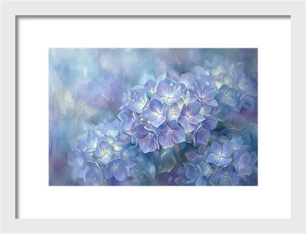 Blue Hydrangeas