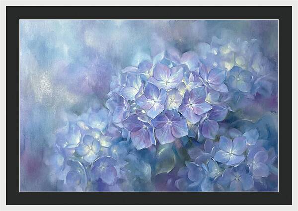 Blue Hydrangeas