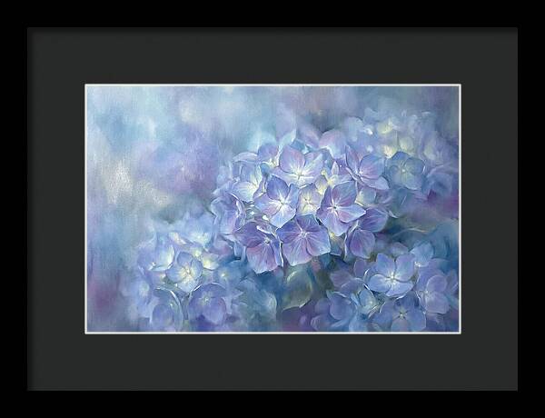 Blue Hydrangeas