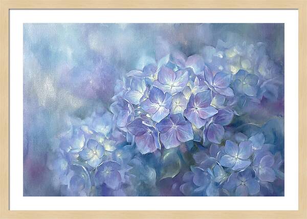 Blue Hydrangeas
