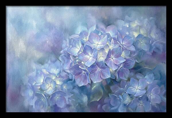 Blue Hydrangeas
