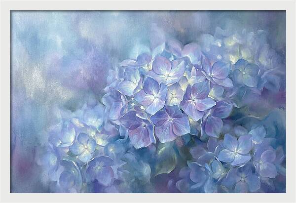 Blue Hydrangeas