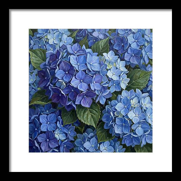 Blue Hydrangeas In Bloom