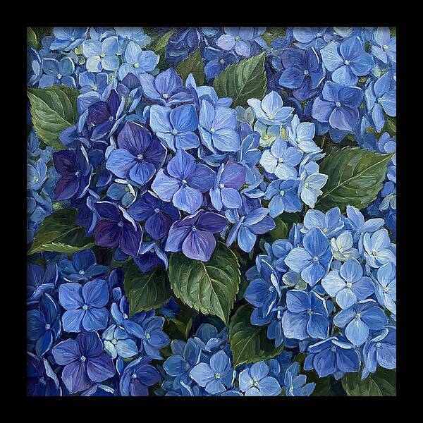 Blue Hydrangeas In Bloom