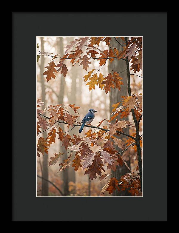 Blue Jay Among Autumn Leaves
