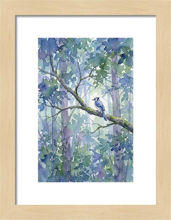 Blue Jay Among The Trees