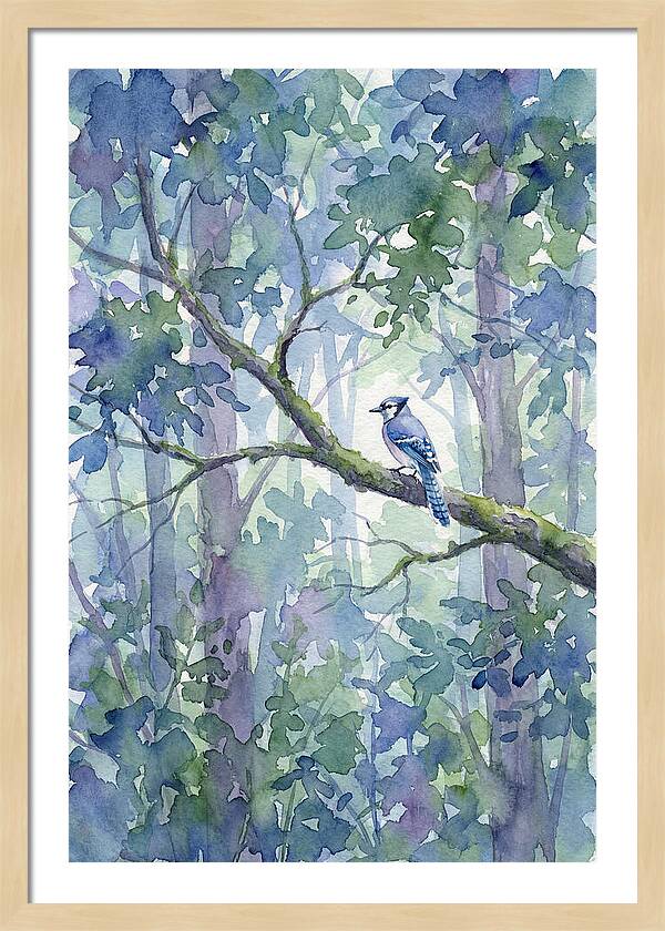 Blue Jay Among The Trees