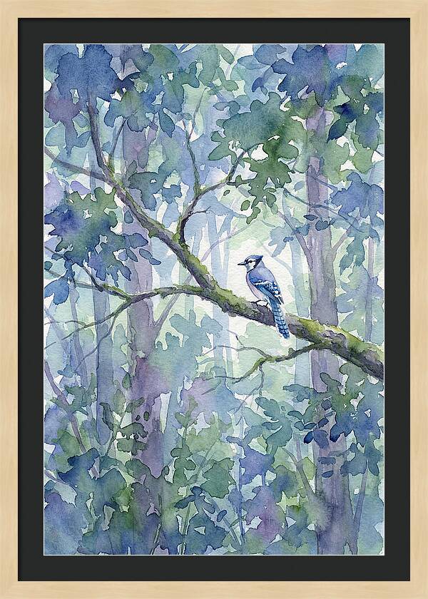 Blue Jay Among The Trees