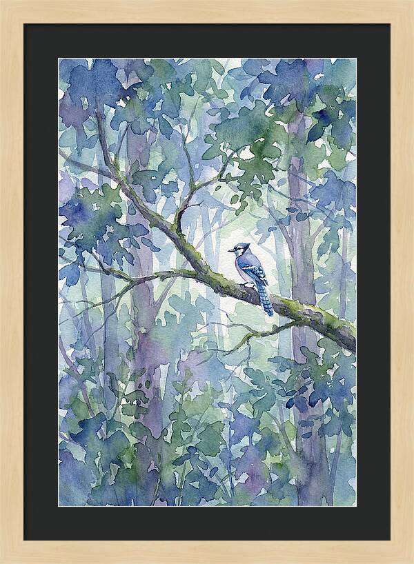Blue Jay Among The Trees