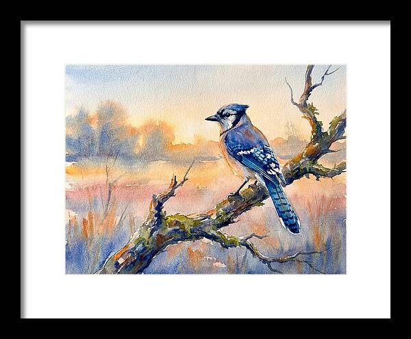 Blue Jay Perched At Dusk