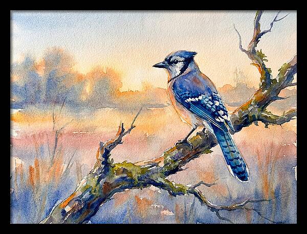 Blue Jay Perched At Dusk