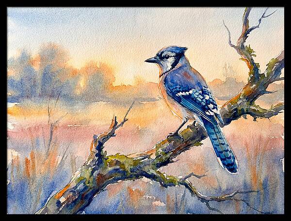 Blue Jay Perched At Dusk