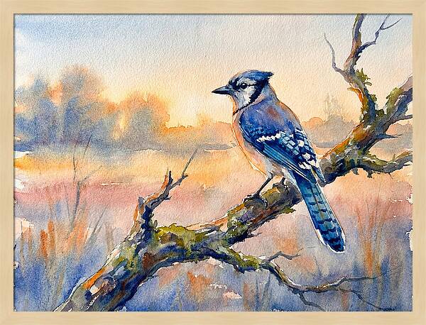 Blue Jay Perched At Dusk