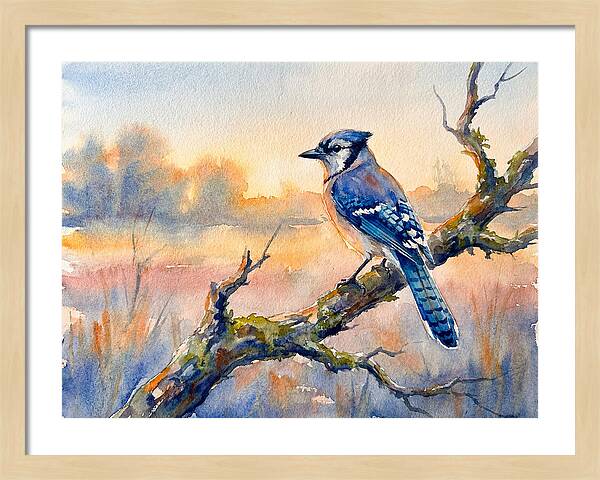 Blue Jay Perched At Dusk