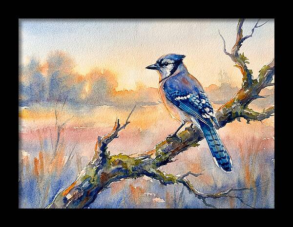 Blue Jay Perched At Dusk