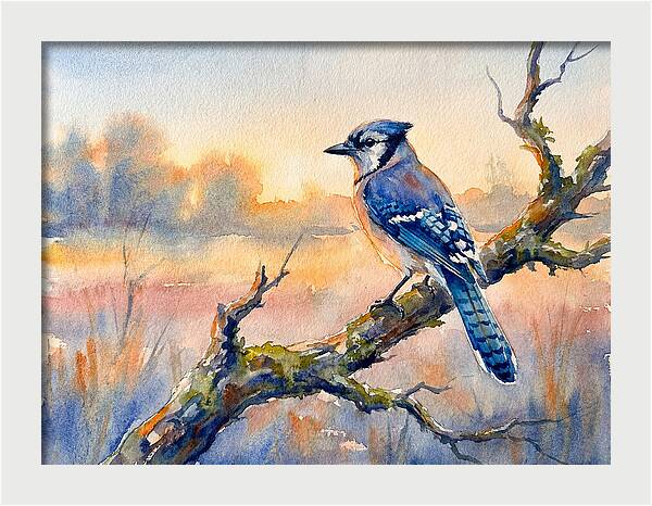 Blue Jay Perched At Dusk
