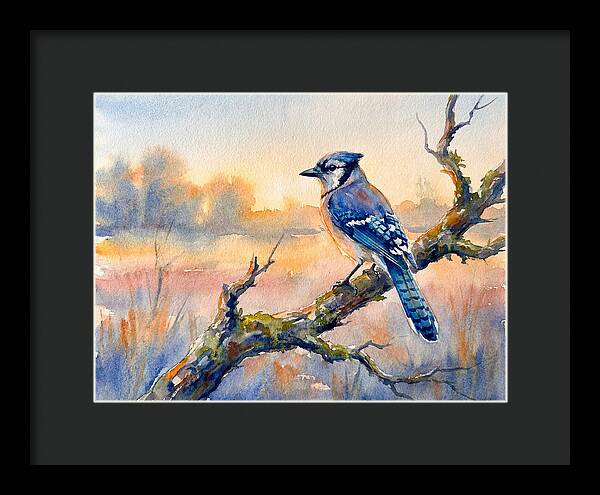 Blue Jay Perched At Dusk