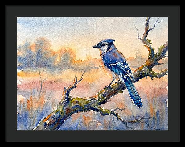 Blue Jay Perched At Dusk