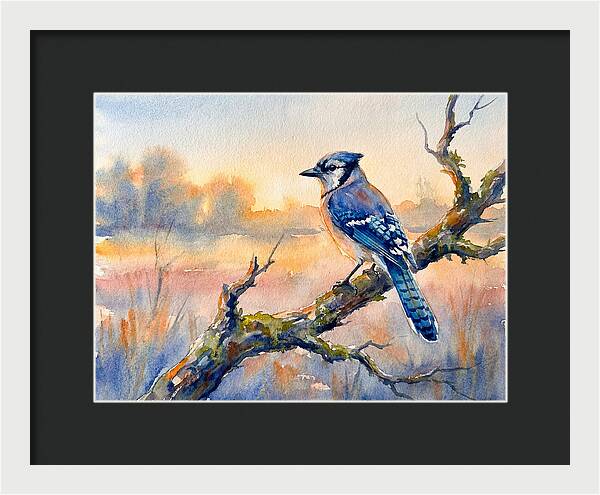 Blue Jay Perched At Dusk