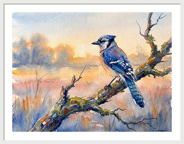 Blue Jay Perched At Dusk
