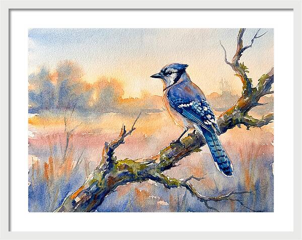 Blue Jay Perched At Dusk