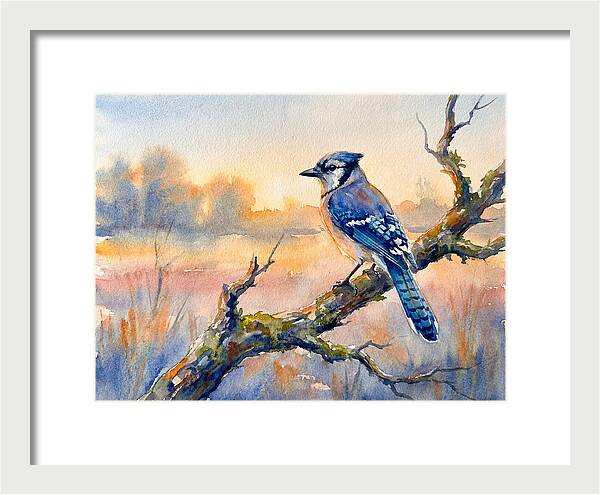 Blue Jay Perched At Dusk
