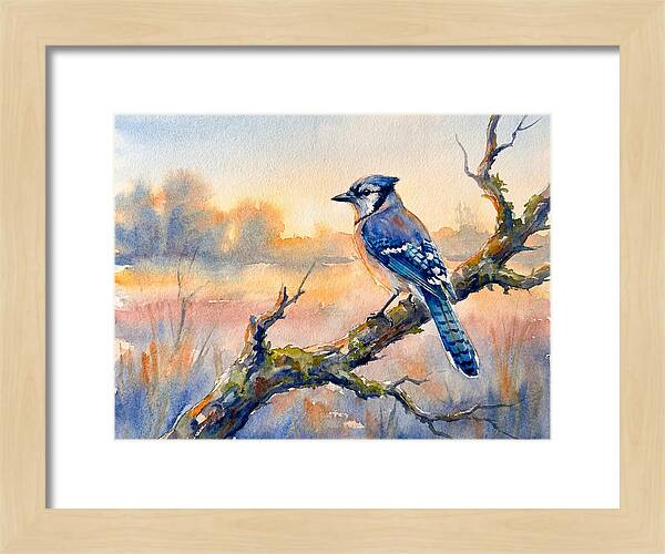 Blue Jay Perched At Dusk
