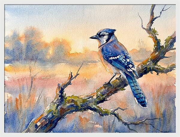 Blue Jay Perched At Dusk