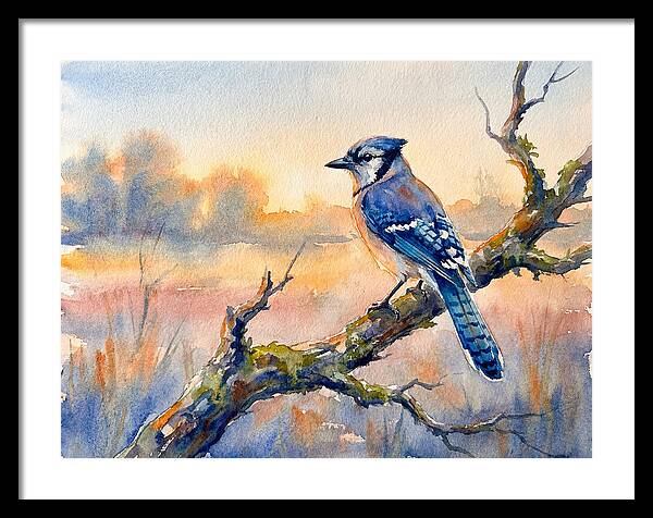 Blue Jay Perched At Dusk