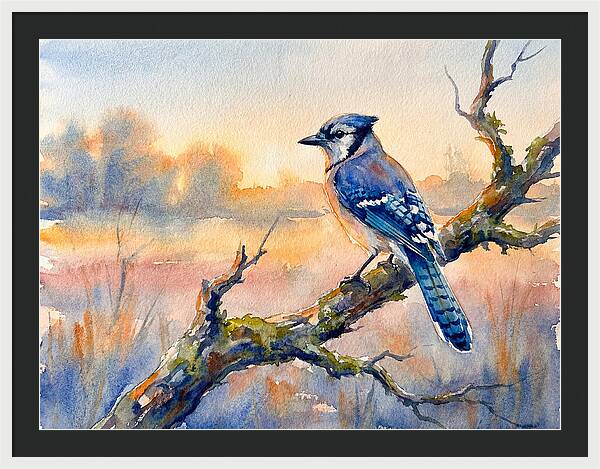 Blue Jay Perched At Dusk