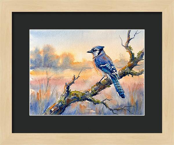 Blue Jay Perched At Dusk