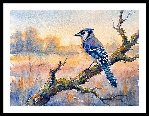 Blue Jay Perched At Dusk