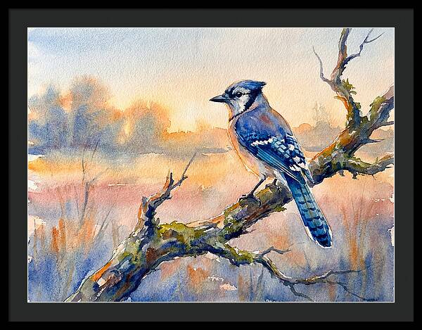 Blue Jay Perched At Dusk