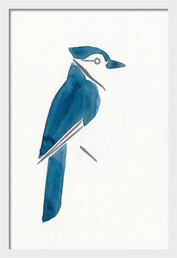Blue Jay Silhouette