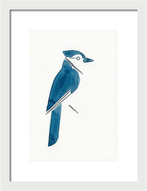 Blue Jay Silhouette