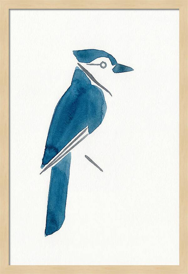 Blue Jay Silhouette